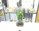 [ブレンダープロ] バジルペースト作り作り方3写真