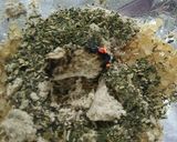 豆腐の燻製作り方5写真