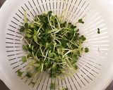 ちくわとカイワレ大根の簡単サラダ☆作り方1写真