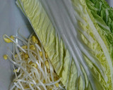 甘酸っぱ♥白菜ともやし炒め作り方1写真