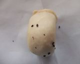 ゴマチーズパン作り方6写真