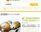 天然酵母種（中種）全粒粉入りの作り方作り方14写真