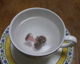 ☆8(^-^8 )踊る アポロ☆作り方2写真