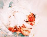 豚肉と白菜のあんかけ焼そば作り方2写真