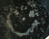 ヒジキとツナの和え物作り方1写真