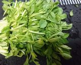 節約【豆苗ともやしのしらすツナ醤油】作り方2写真