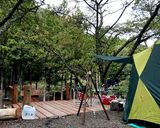 【キャンプ飯】ほんとにおいしい茄子の丸焼作り方2写真