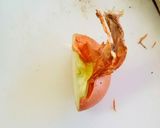玉ねぎの皮をむく方法作り方3写真