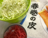 キャベツと紅しょうが☆あっさり三角春巻き作り方1写真