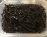 ひじきとほうれん草と枝豆の白和え作り方2写真