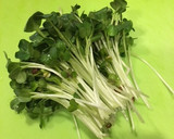 材料３つ！白菜とかいわれ大根の豚肉まき作り方2写真