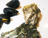 殻付き牡蠣で簡単レンジ蒸し！作り方4写真