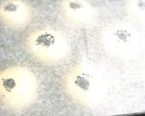 餡子ヂーズパン作り方6写真
