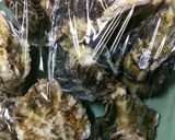 おっさんの殻付き牡蠣蒸し作り方7写真
