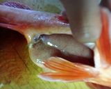 簡単カサゴの酒蒸し作り方2写真