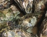 殻付き牡蠣グラタン作り方1写真