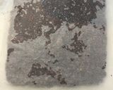 バレンタインにも☆プチグラノーラショコラ作り方6写真