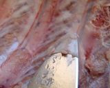 肉がほろほろ♪スパイスBBQポークリブ作り方3写真