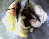 漬け物石要らずのキムチもどき(朝鮮漬)作り方11写真