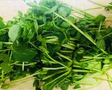 豆苗だけ！塩酒粕で簡単美味しい炒め物作り方2写真