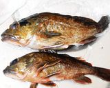 釣りのアクアパッツァ作り方1写真