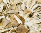 素朴・寄せ鍋●ぐるりキノコの鶏きのこ鍋作り方3写真