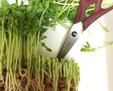 簡単！こんがり長芋の牛肉入り豆苗あんかけ作り方2写真