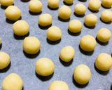 コロンと可愛い♪バーチディダーマ☻作り方5写真