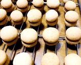 コロンと可愛い♪バーチディダーマ☻作り方9写真