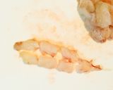 エビまるごとっ中華あんかけオムレツ作り方1写真