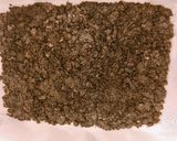 ❄︎簡単❤️抹茶の生チョコスティック❄︎作り方2写真