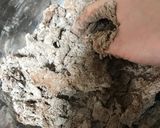 チョコナッツスコーン作り方6写真