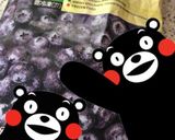 簡単☆ブルーベリーヨーグルト♪作り方1写真