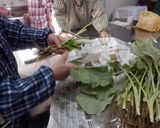 農家直伝　八尾若ごぼうの和風パスタ作り方1写真