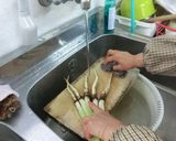 農家直伝　八尾若ごぼうの和風パスタ作り方2写真