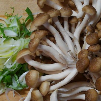 鶏ささみとネギ もやし しめじの甘辛煮✿ by 331ミミイ 【クックパッド