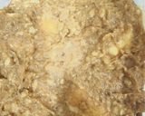 混ぜるだけチーズの味噌粕漬け作り方4写真