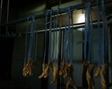 煮ないよ。凍み大根の作り方作り方14写真
