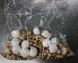 洗い物ゼロ！乾パンのマシュマロバー作り方3写真