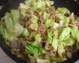 豚肉とキャベツのコチュジャン炒め作り方7写真