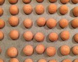 雛祭り☆ホワイトデー☆春色スノーボール作り方7写真