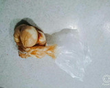 麺つゆで簡単煮卵作り方2写真