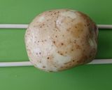 ハッセルバックポテト作り方1写真