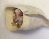 簡単な珍しい餃子包み方作り方1写真