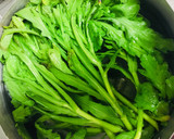 簡単♪春菊のごま塩酒粕ヨーグルト和え作り方1写真