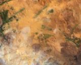 簡単な栄養満点の他人丼作り方9写真