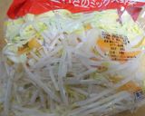 ちゃんぽんうどん(福岡ではどんめん）作り方2写真