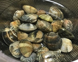 アサリ炊き込み御飯(QC無水鍋使用)作り方1写真