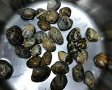 アサリ炊き込み御飯(QC無水鍋使用)作り方2写真