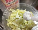 簡単✳︎あっさり!キャベツ焼き作り方4写真